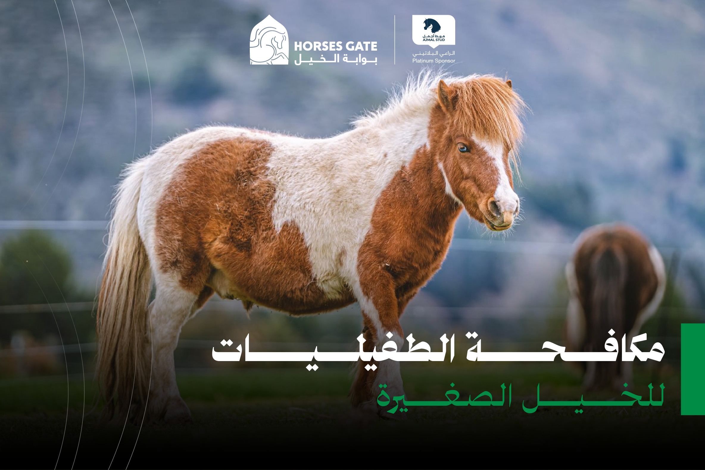 10 أنواع طفيليات في الخيل وعلاجها