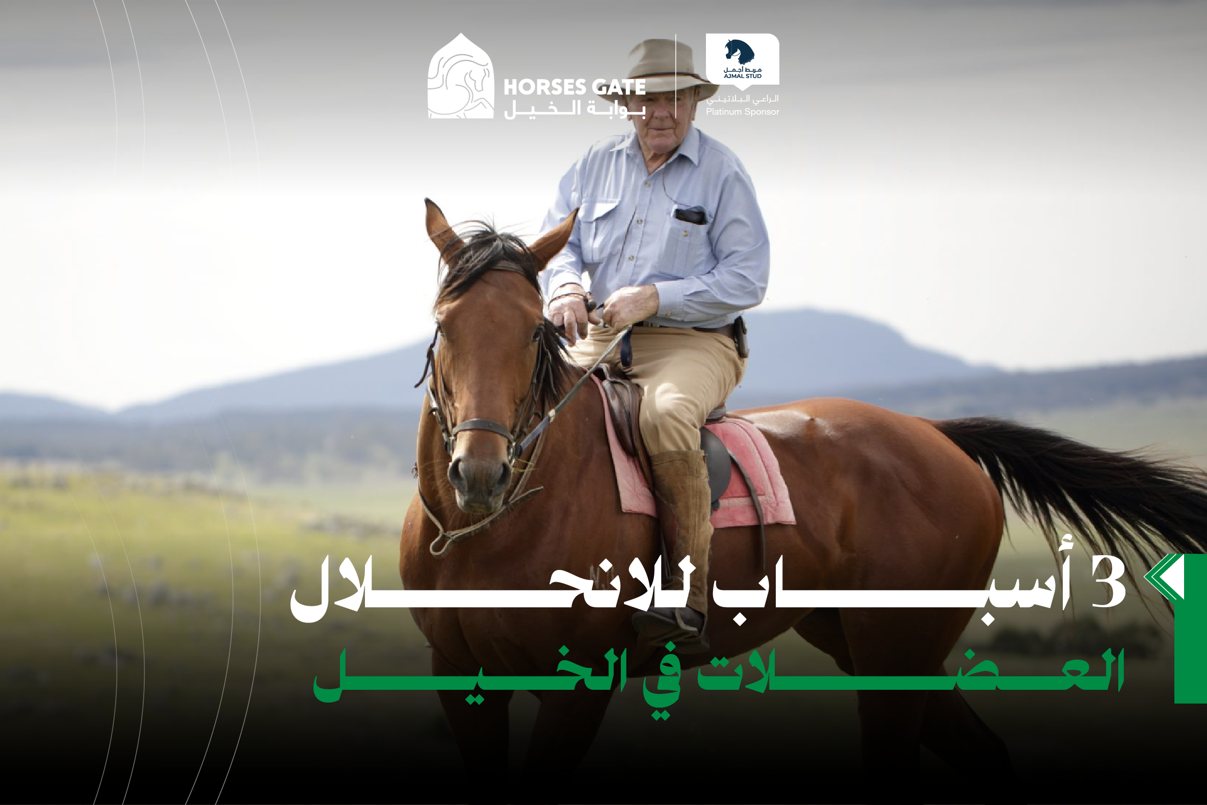 3 أسباب للانحلال العضلات في الخيل