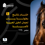 ختام نتائج بطولة رباب لجمال الخيل العربية الأصيلة 2024