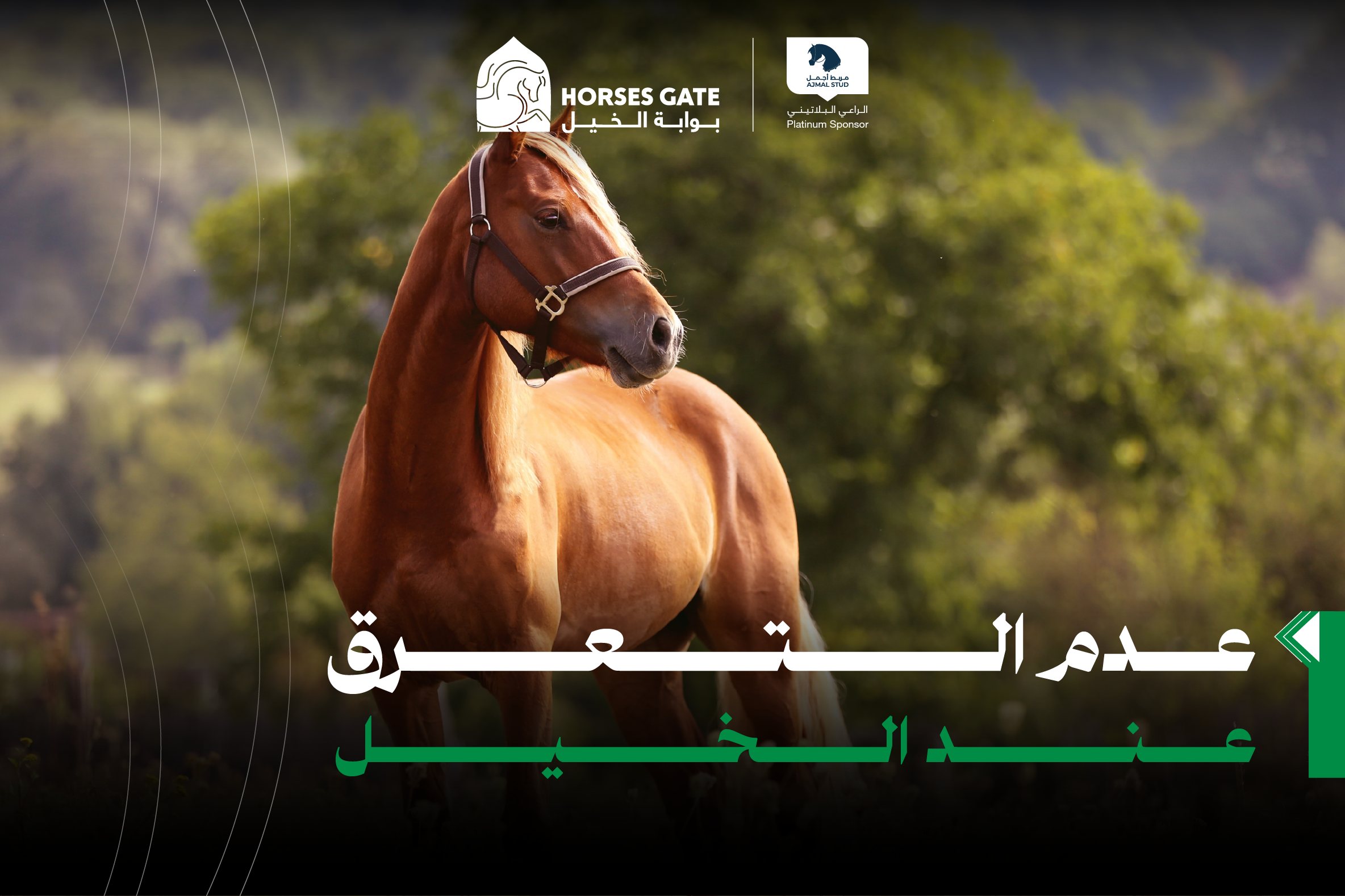 عدم التعرق عند الخيل