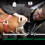 الزيارات الروتينية لطبيب أسنان الخيل