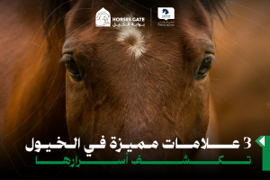 علامات مميزة في الخيل تكشف أسرارها